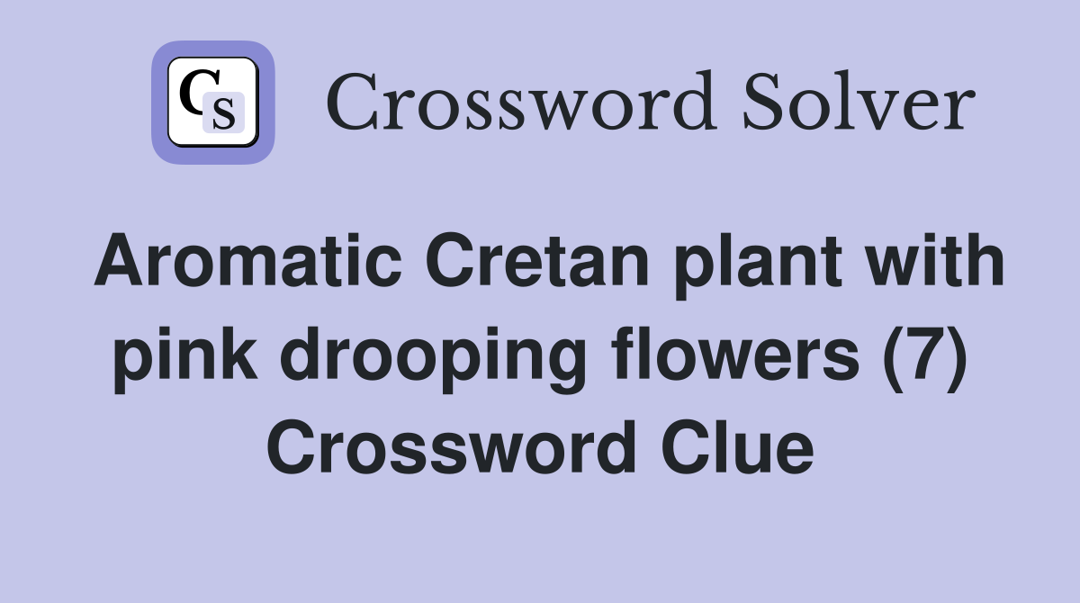 Aromatic Cretan plant with pink drooping flowers (7) Crossword Clue